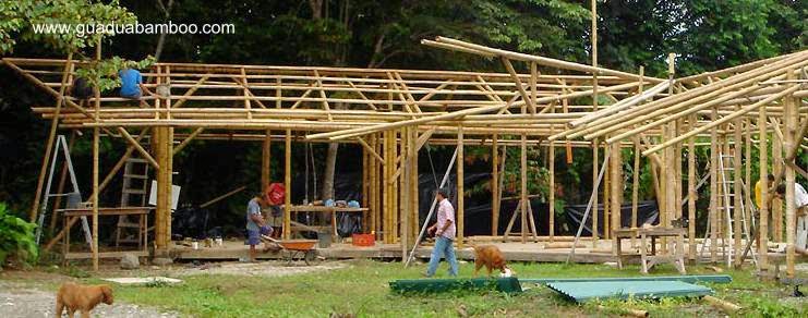 Hay estructuras que parten desde el suelo con cañas de mayor tamaño Construcción con cañas de bambú Guadua