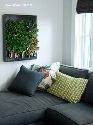 Jardín vertical pequeño para interiores Panel de plantas para decorar