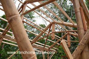 Estructura en construcción con bambú Estructura de cabaña en construcción con cañas de bambú