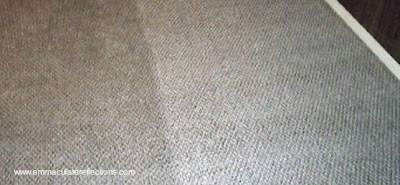 Sector de una alfombra de pared a pared Ejemplo de limpieza de alfombra moderna