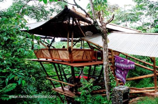Cabaña entre los árboles para turistas en Costa Rica Cabaña de bambú entre árboles