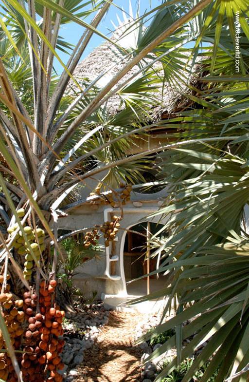 Fachada de acceso a la casa de la selva