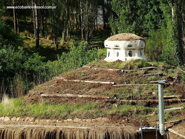 Techado de cañas atadas más tierra y plantas